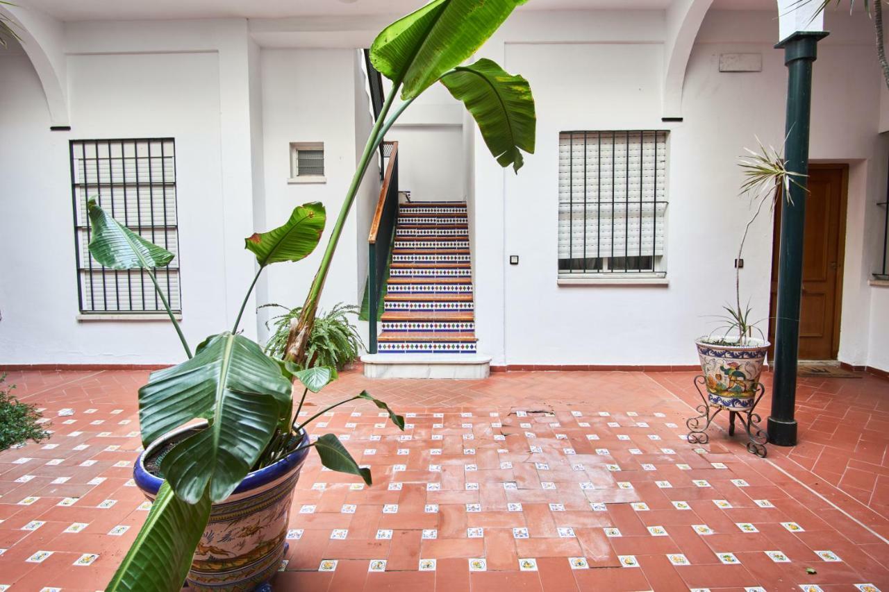 Pureza Dream Seville